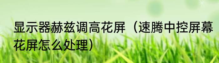 显示器赫兹调高花屏（速腾中控屏幕花屏怎么处理）