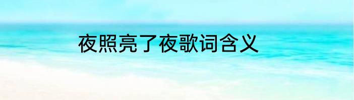 夜照亮了夜歌词含义