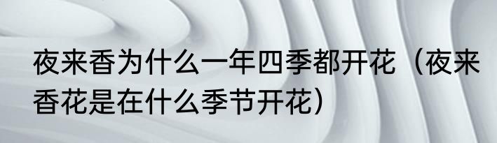 夜来香为什么一年四季都开花（夜来香花是在什么季节开花）