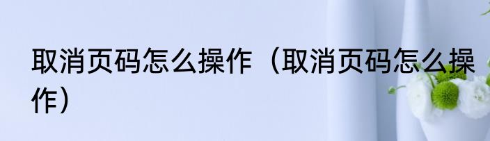 取消页码怎么操作（取消页码怎么操作）