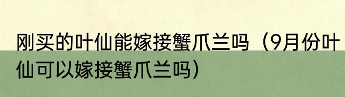 刚买的叶仙能嫁接蟹爪兰吗（9月份叶仙可以嫁接蟹爪兰吗）