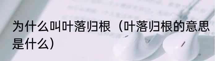 为什么叫叶落归根（叶落归根的意思是什么）