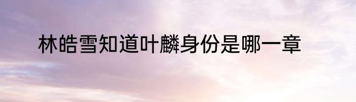 林皓雪知道叶麟身份是哪一章