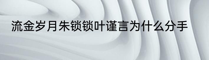 流金岁月朱锁锁叶谨言为什么分手