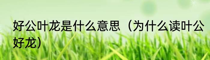 好公叶龙是什么意思（为什么读叶公好龙）