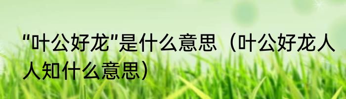 “叶公好龙”是什么意思（叶公好龙人人知什么意思）