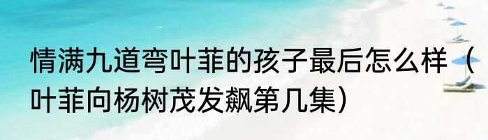 情满九道弯叶菲的孩子最后怎么样（叶菲向杨树茂发飙第几集）