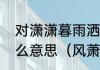对潇潇暮雨洒江天，一番洗清秋是什么意思（风萧萧还是潇潇）