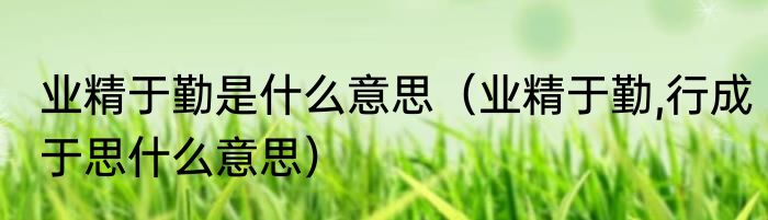 业精于勤是什么意思（业精于勤,行成于思什么意思）