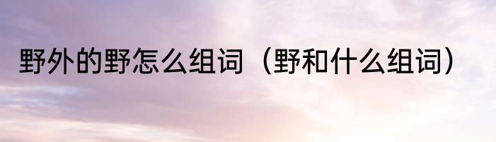 野外的野怎么组词（野和什么组词）