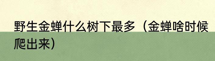 野生金蝉什么树下最多（金蝉啥时候爬出来）