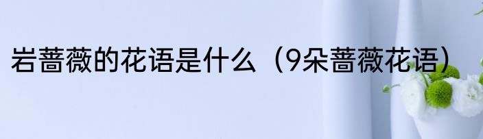 岩蔷薇的花语是什么（9朵蔷薇花语）