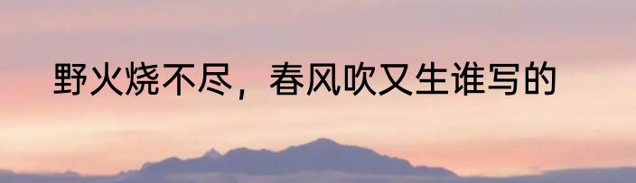 野火烧不尽，春风吹又生谁写的