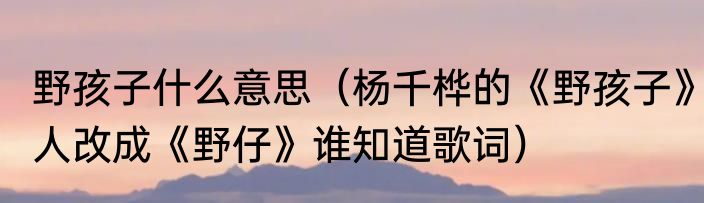 野孩子什么意思（杨千桦的《野孩子》人改成《野仔》谁知道歌词）