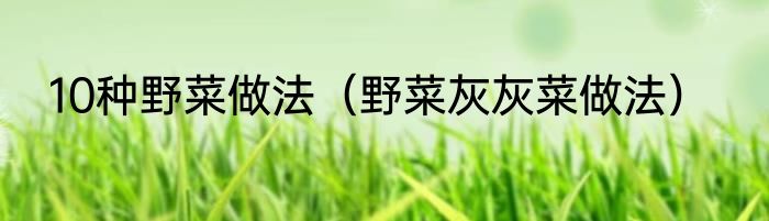 10种野菜做法（野菜灰灰菜做法）