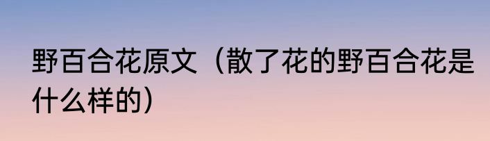 野百合花原文（散了花的野百合花是什么样的）