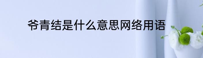 爷青结是什么意思网络用语