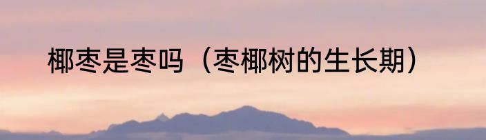 椰枣是枣吗（枣椰树的生长期）