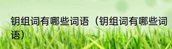 钥组词有哪些词语（钥组词有哪些词语）