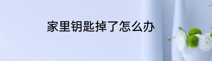 家里钥匙掉了怎么办