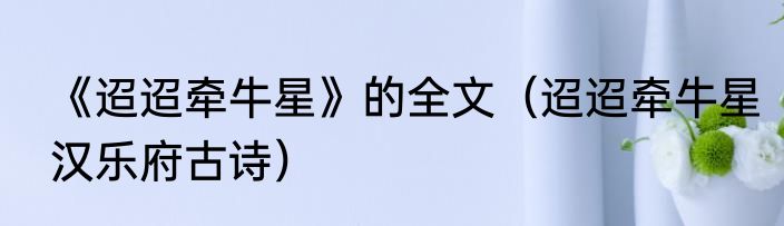 《迢迢牵牛星》的全文（迢迢牵牛星汉乐府古诗）