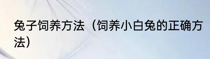 兔子饲养方法（饲养小白兔的正确方法）