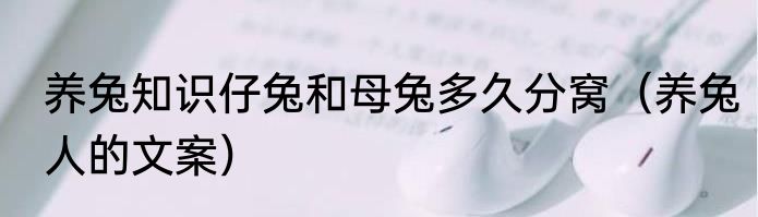 养兔知识仔兔和母兔多久分窝（养兔人的文案）