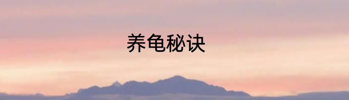 养龟秘诀