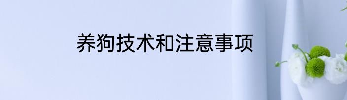 养狗技术和注意事项