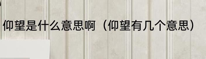 仰望是什么意思啊（仰望有几个意思）