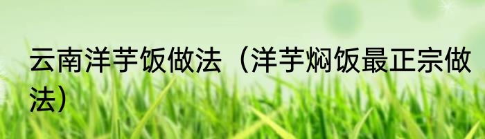 云南洋芋饭做法（洋芋焖饭最正宗做法）