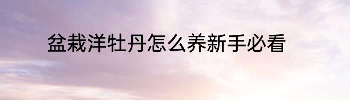 盆栽洋牡丹怎么养新手必看