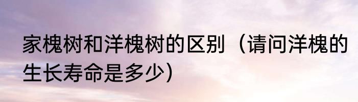 家槐树和洋槐树的区别（请问洋槐的生长寿命是多少）