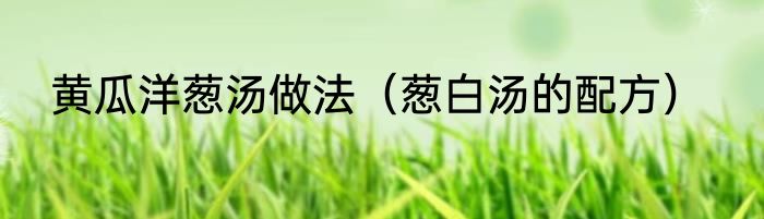 黄瓜洋葱汤做法（葱白汤的配方）