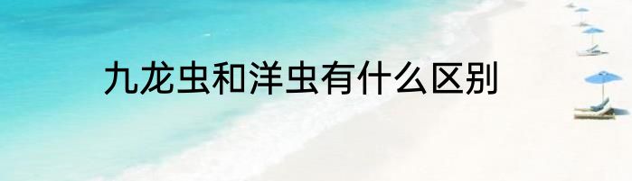 九龙虫和洋虫有什么区别