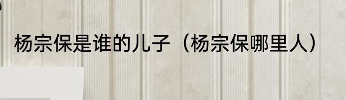 杨宗保是谁的儿子（杨宗保哪里人）