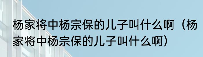 杨家将中杨宗保的儿子叫什么啊（杨家将中杨宗保的儿子叫什么啊）