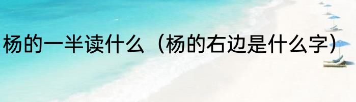 杨的一半读什么（杨的右边是什么字）