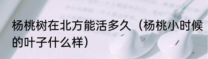 杨桃树在北方能活多久（杨桃小时候的叶子什么样）