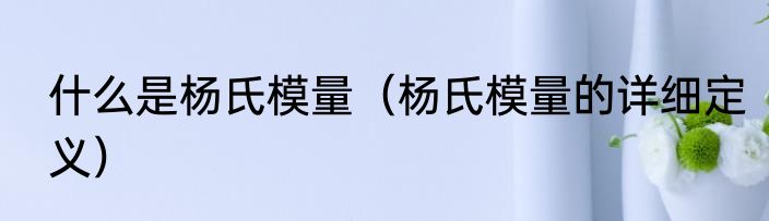 什么是杨氏模量（杨氏模量的详细定义）