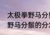 太极拳野马分鬃要领有哪些（太极拳野马分鬃的分怎么体现）