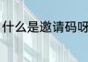 什么是邀请码呀（邀请码是什么意思）