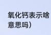 氧化钙表示啥（你知道氧化钙是什么意思吗）