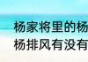 杨家将里的杨排风是谁的孩子（历史杨排风有没有丈夫）