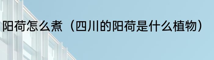阳荷怎么煮（四川的阳荷是什么植物）