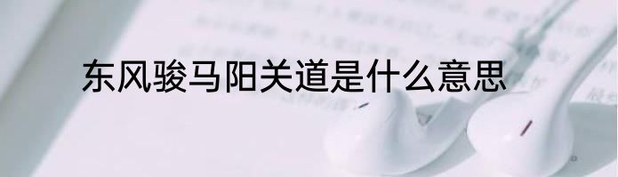 东风骏马阳关道是什么意思