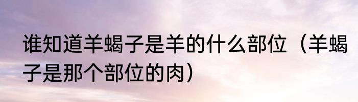 谁知道羊蝎子是羊的什么部位（羊蝎子是那个部位的肉）
