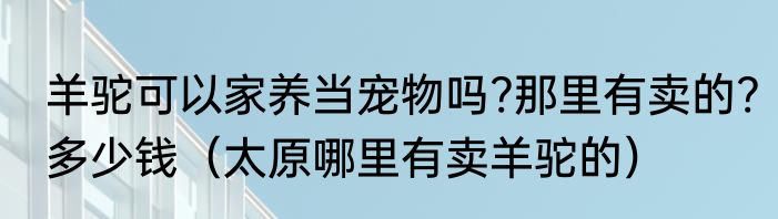 羊驼可以家养当宠物吗?那里有卖的?多少钱（太原哪里有卖羊驼的）