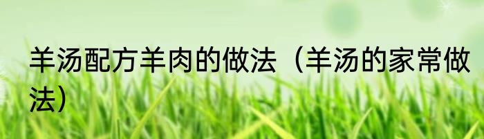 羊汤配方羊肉的做法（羊汤的家常做法）