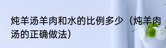 炖羊汤羊肉和水的比例多少（炖羊肉汤的正确做法）